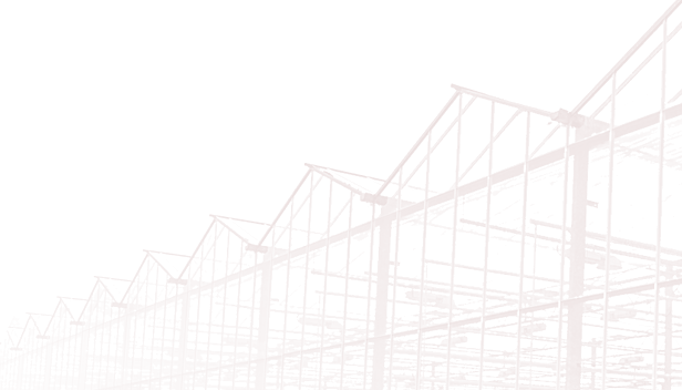 冠赢国际·(中国游)有限公司官网