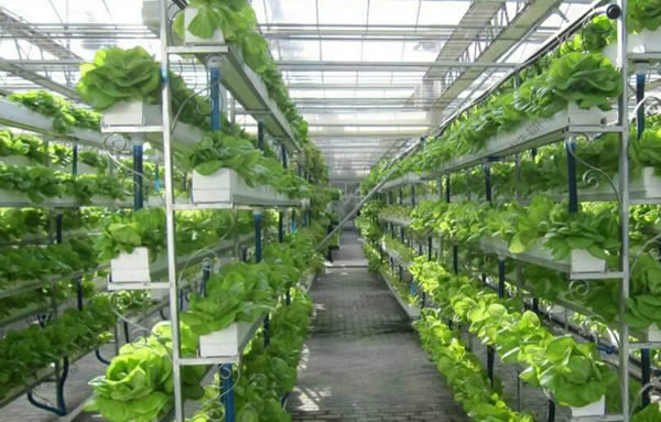 冠赢国际·(中国游)有限公司官网