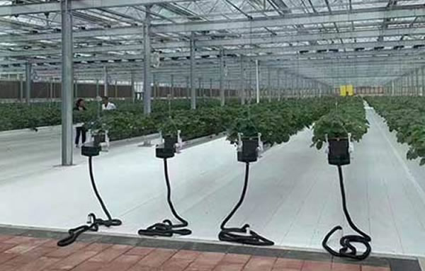 冠赢国际·(中国游)有限公司官网